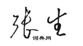 骆恒光张生草书个性签名怎么写
