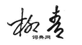 骆恒光柳青草书个性签名怎么写