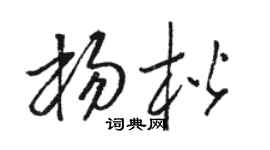 骆恒光杨楷草书个性签名怎么写