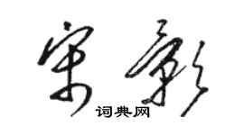 骆恒光宋影草书个性签名怎么写