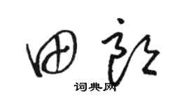 骆恒光田朗草书个性签名怎么写