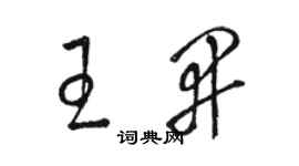 骆恒光王开草书个性签名怎么写