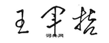 骆恒光王军哲草书个性签名怎么写