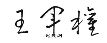 骆恒光王军权草书个性签名怎么写