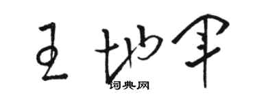 骆恒光王地军草书个性签名怎么写