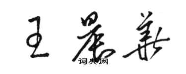 骆恒光王晨华草书个性签名怎么写