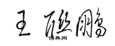 骆恒光王联鹏草书个性签名怎么写