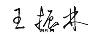 骆恒光王振林草书个性签名怎么写