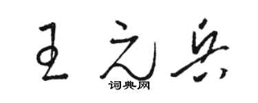 骆恒光王元兵草书个性签名怎么写