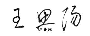 骆恒光王思阳草书个性签名怎么写