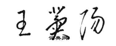骆恒光王冀阳草书个性签名怎么写