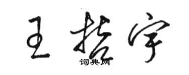 骆恒光王哲宇草书个性签名怎么写