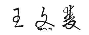 骆恒光王文双草书个性签名怎么写