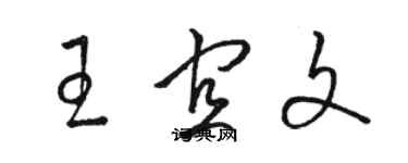 骆恒光王宜文草书个性签名怎么写