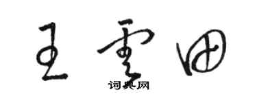 骆恒光王云田草书个性签名怎么写