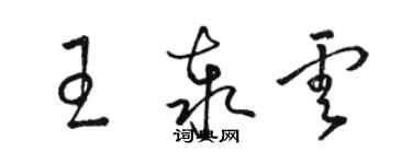 骆恒光王泰云草书个性签名怎么写