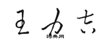 骆恒光王力吉草书个性签名怎么写