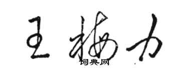 骆恒光王梅力草书个性签名怎么写