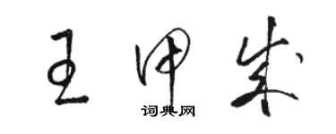 骆恒光王甲成草书个性签名怎么写