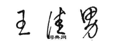 骆恒光王佳男草书个性签名怎么写