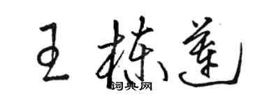 骆恒光王栋莲草书个性签名怎么写