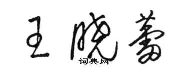 骆恒光王晓蕾草书个性签名怎么写