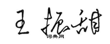 骆恒光王振甜草书个性签名怎么写