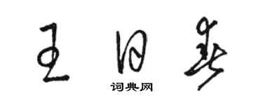 骆恒光王日春草书个性签名怎么写