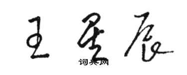 骆恒光王星辰草书个性签名怎么写