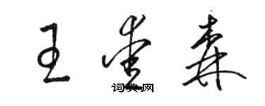 骆恒光王爱森草书个性签名怎么写