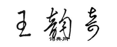 骆恒光王韵奇草书个性签名怎么写