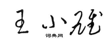骆恒光王小雄草书个性签名怎么写