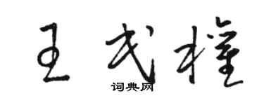 骆恒光王民权草书个性签名怎么写