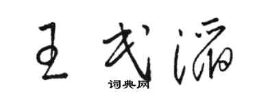 骆恒光王民滔草书个性签名怎么写