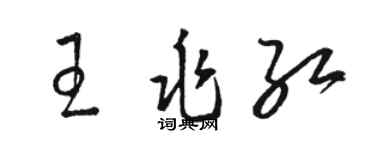 骆恒光王兆红草书个性签名怎么写