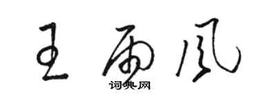 骆恒光王雨风草书个性签名怎么写