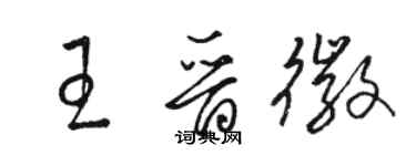 骆恒光王晋徽草书个性签名怎么写