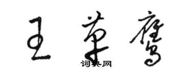 骆恒光王革鹰草书个性签名怎么写