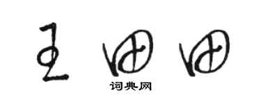 骆恒光王田田草书个性签名怎么写