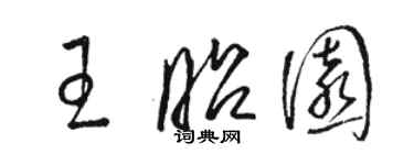 骆恒光王昭园草书个性签名怎么写