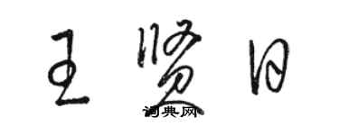 骆恒光王贤日草书个性签名怎么写