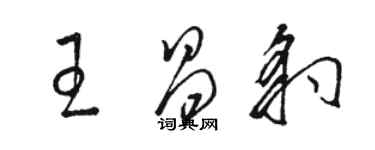 骆恒光王昌豹草书个性签名怎么写
