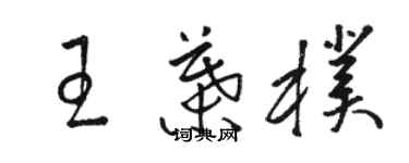骆恒光王叶朴草书个性签名怎么写