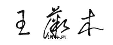 骆恒光王薇木草书个性签名怎么写