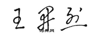 骆恒光王开烈草书个性签名怎么写