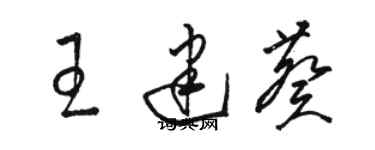 骆恒光王建葵草书个性签名怎么写
