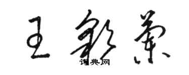 骆恒光王彩兰草书个性签名怎么写