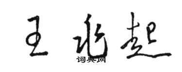 骆恒光王兆起草书个性签名怎么写