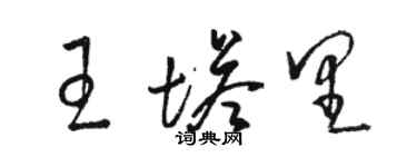 骆恒光王塔里草书个性签名怎么写