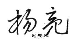 骆恒光杨亮草书个性签名怎么写